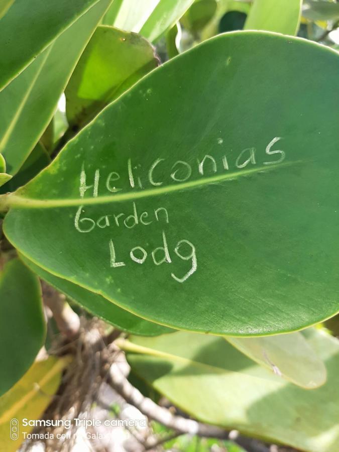 Garden of Heliconias Lodge Drakes Bay Buitenkant foto